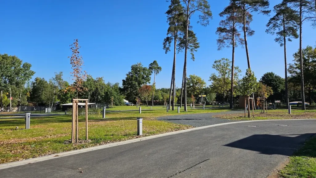 Blick auf eine Straße im GlampingPark mit mehreren Stellplätzen und Wald im Hintergrund