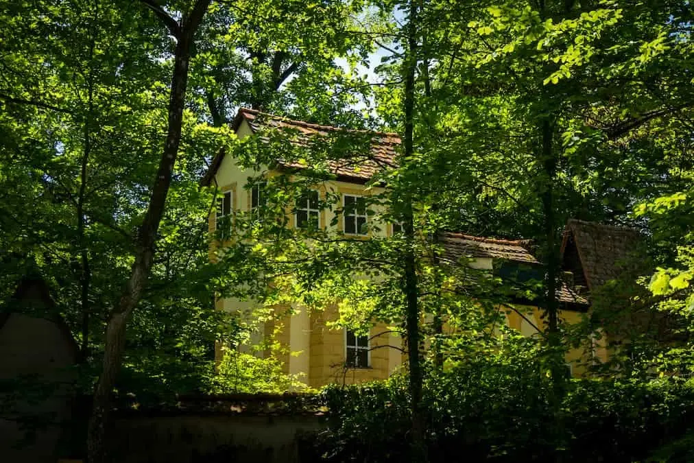 Gelbes Gebäude hinter einem dichten Wald