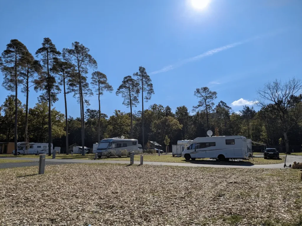 Mehrere Wohnmobile und Fahrzeuge auf einem Campingplatz mit Wiese, Bäumen und blauem Himmel für Camping in Bayern